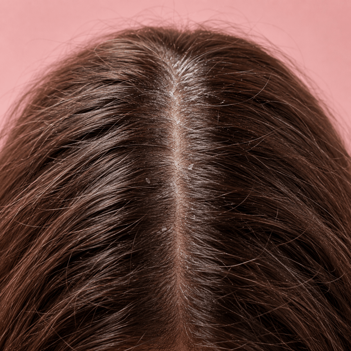 Hair & Scalp Health - CHEEKYGLO