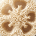 NATURAL LOOFAH WEAVE