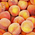 Peach Kernel Oil