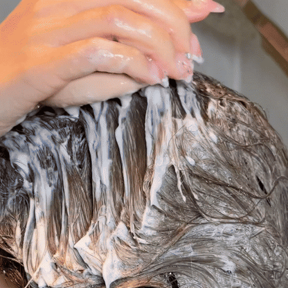 Everyday Essentials Set