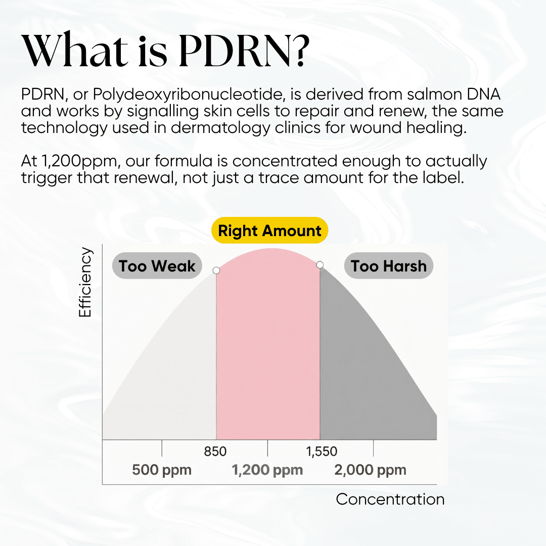 PDRN Plus+ Advanced Collagen Peptide Cream - CHEEKYGLO