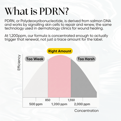 PDRN Plus+ Advanced Collagen Peptide Cream - CHEEKYGLO