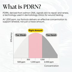PDRN Plus+ Advanced Collagen Peptide Cream - CHEEKYGLO